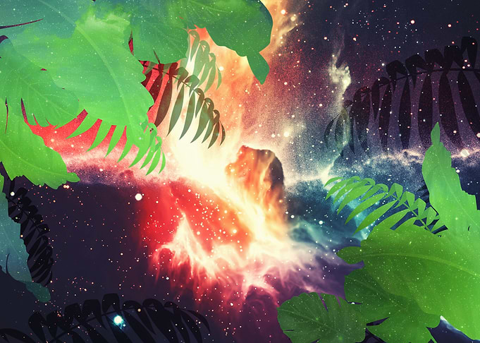 Tropical Space floral art