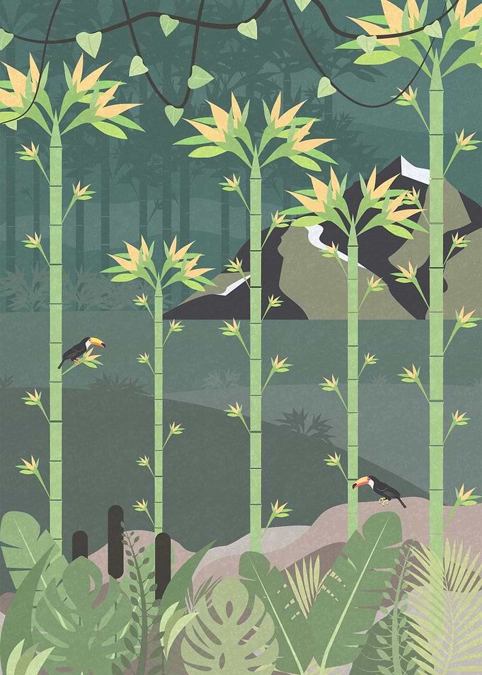 Jungle