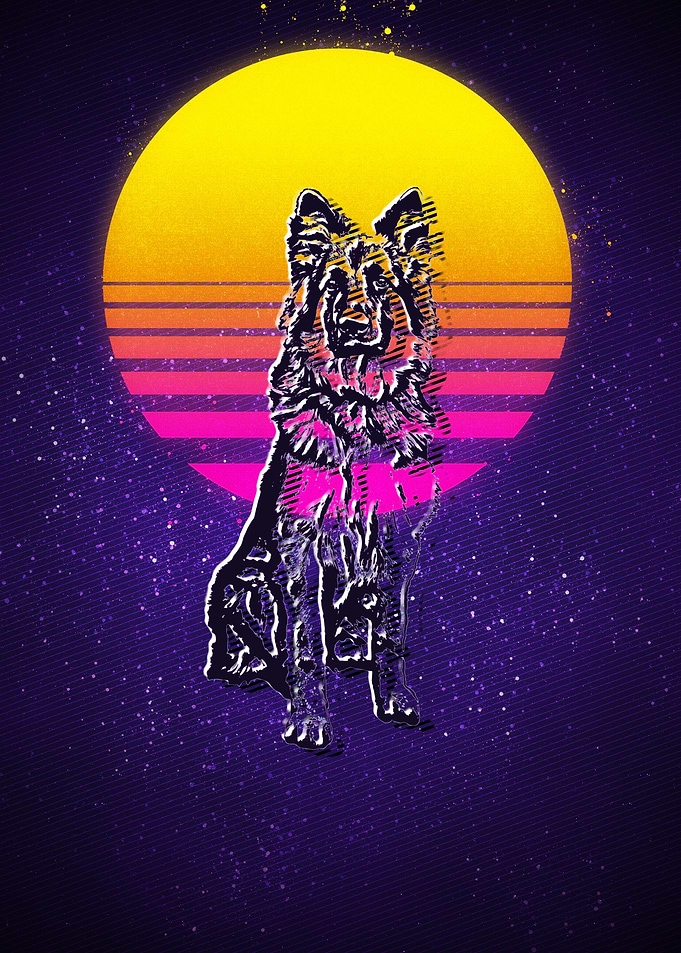 German Shepherd