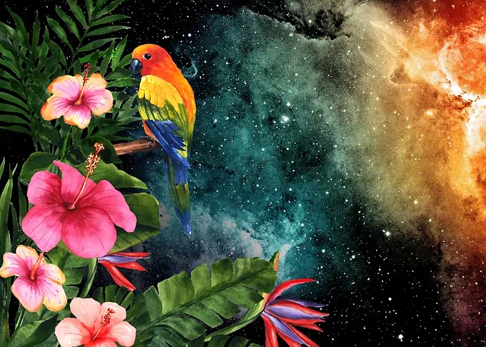 Tropical Space floral art