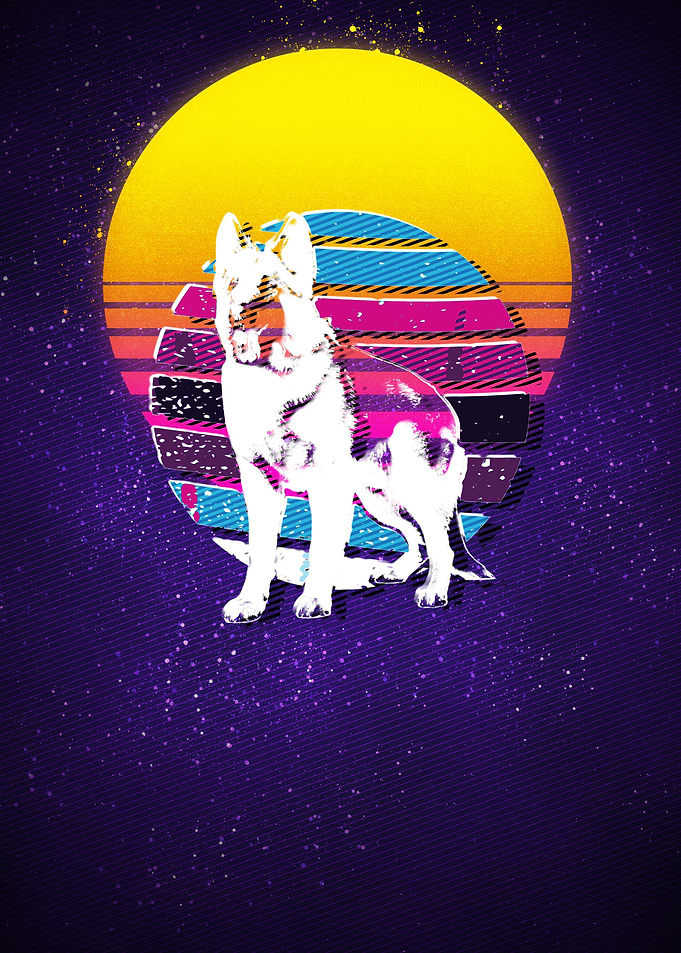 German Shepherd