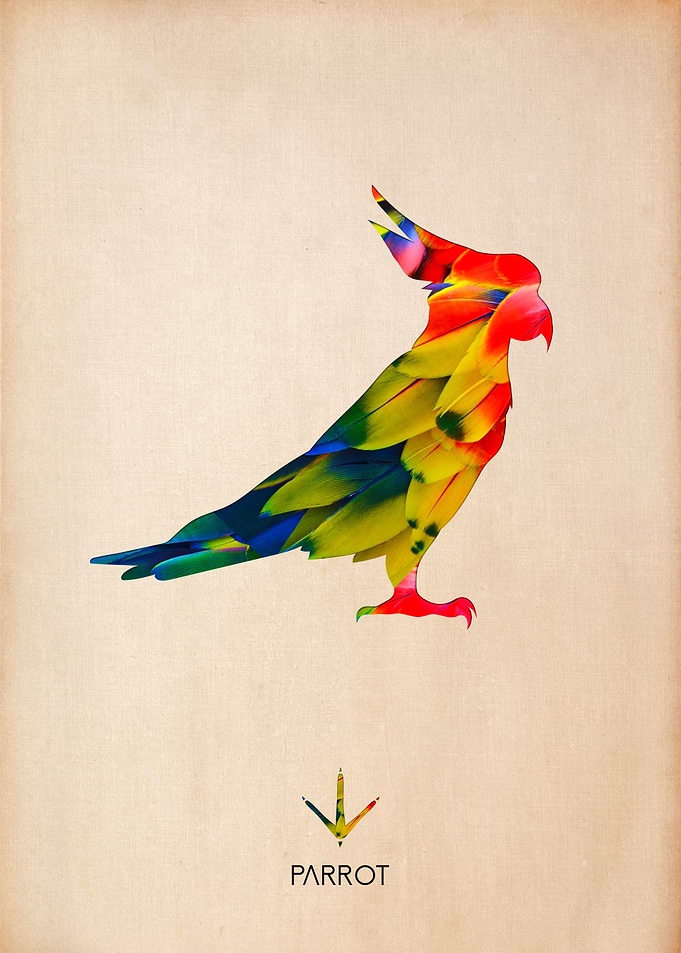 Parrot Silhouette Texture