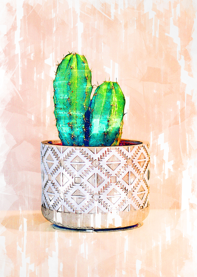 Minimal Mini Cactus Deco