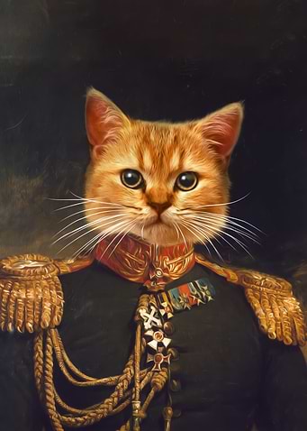 The General