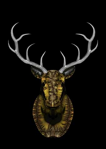 Deer