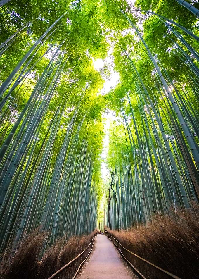 Beautiful landscape of bam