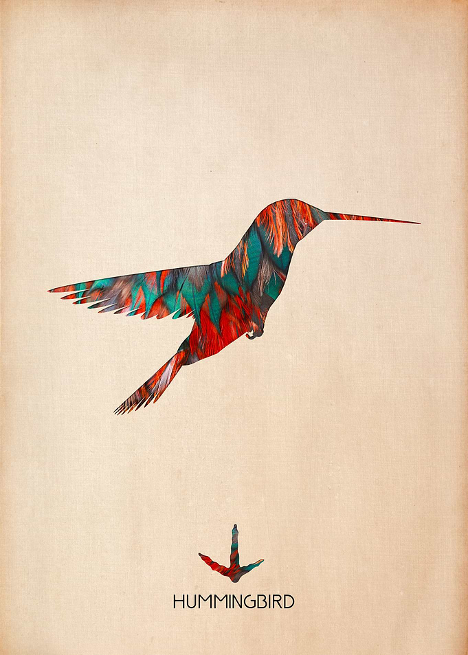 Hummingbird Silhouette