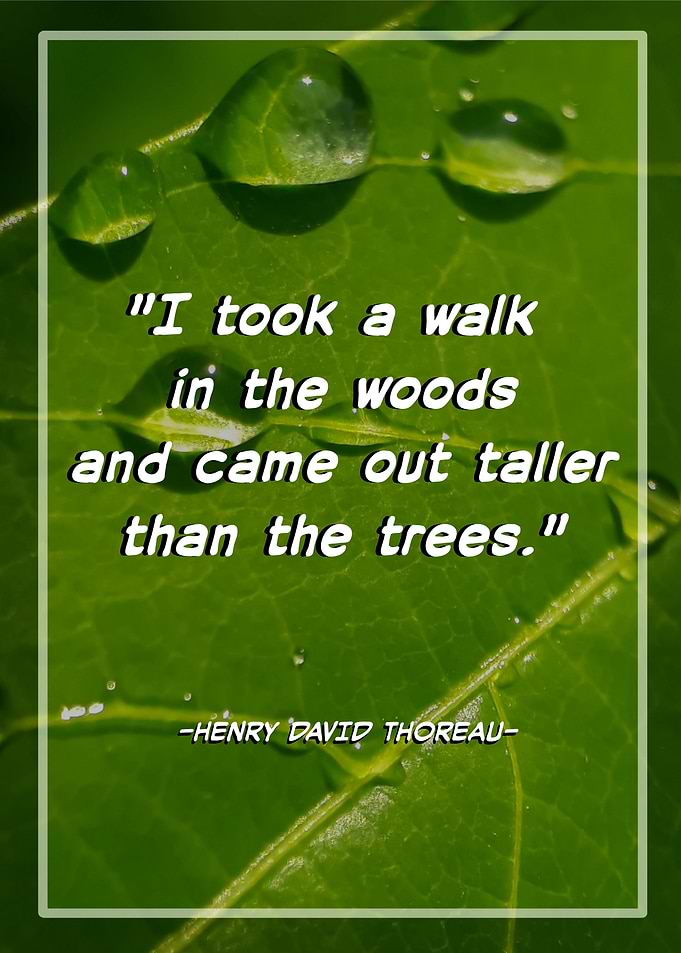 Natural background quotes