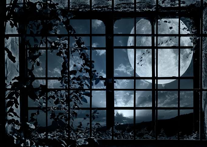 Dark Night