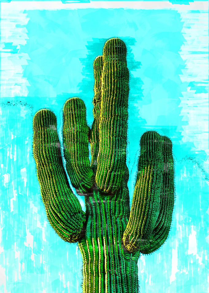 Minimal Cactus Deco Sketch