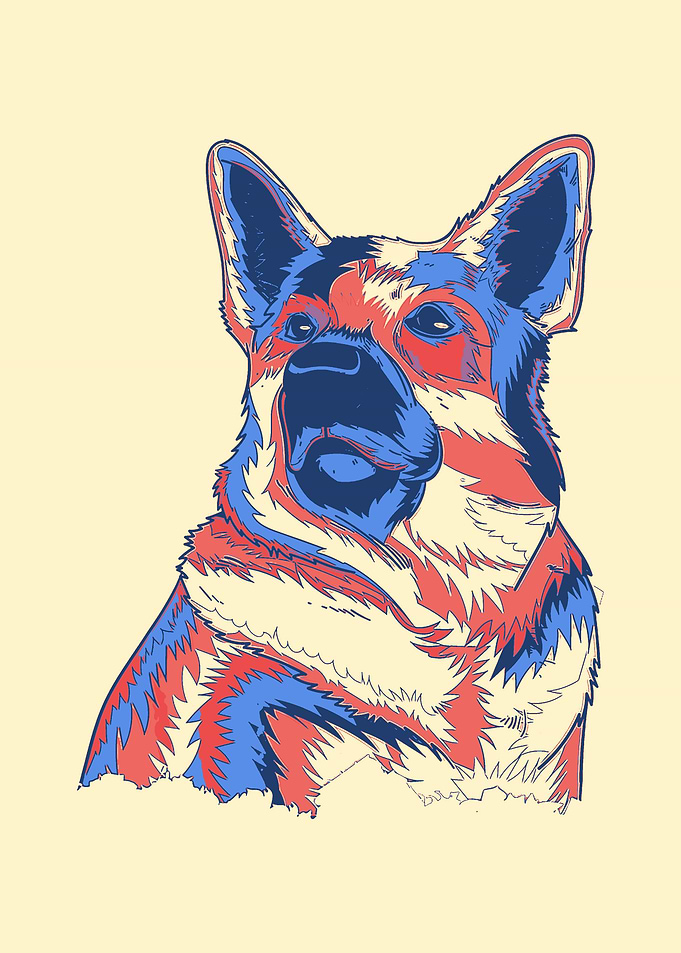 German Shepherd