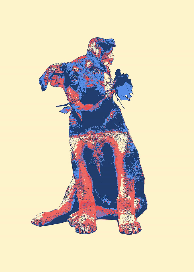 German Shepherd