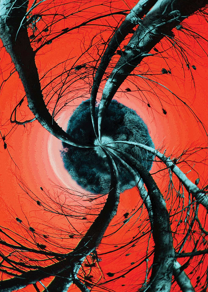 Alberi