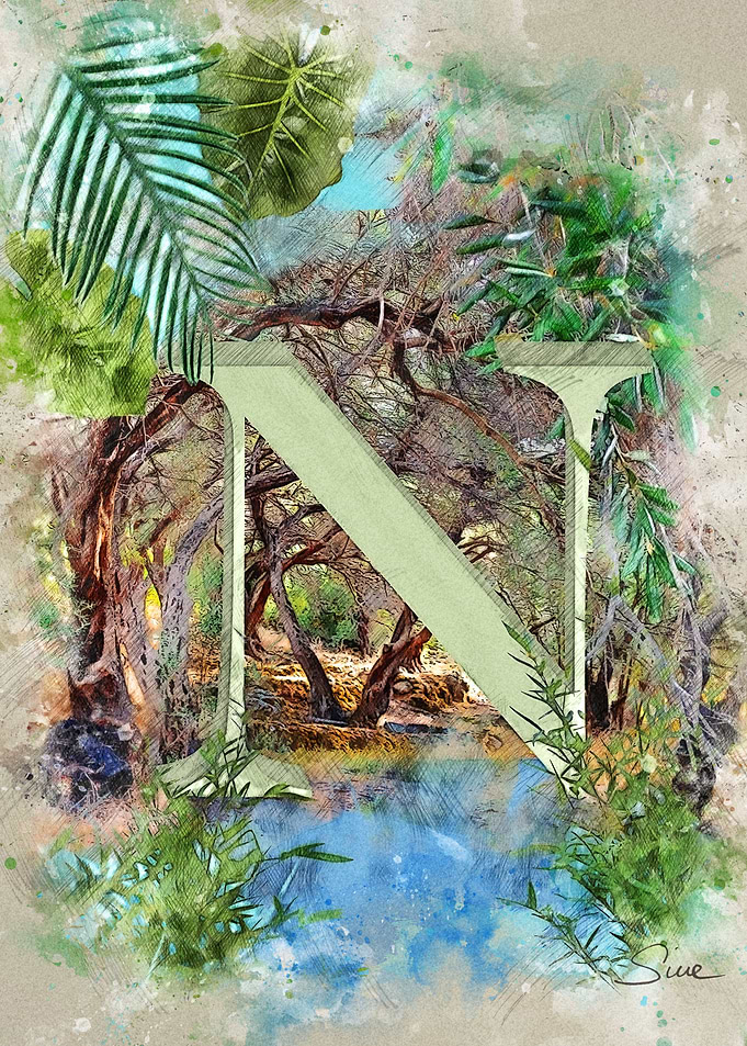N Nature