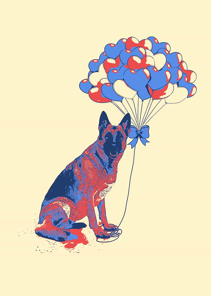 German Shepherd