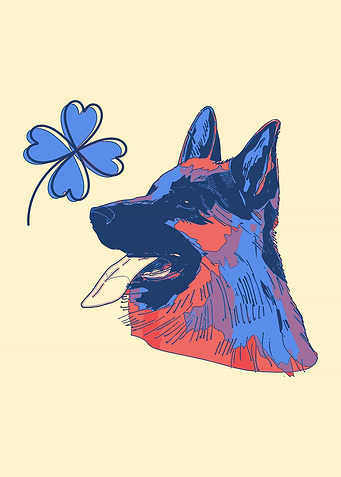 German Shepherd