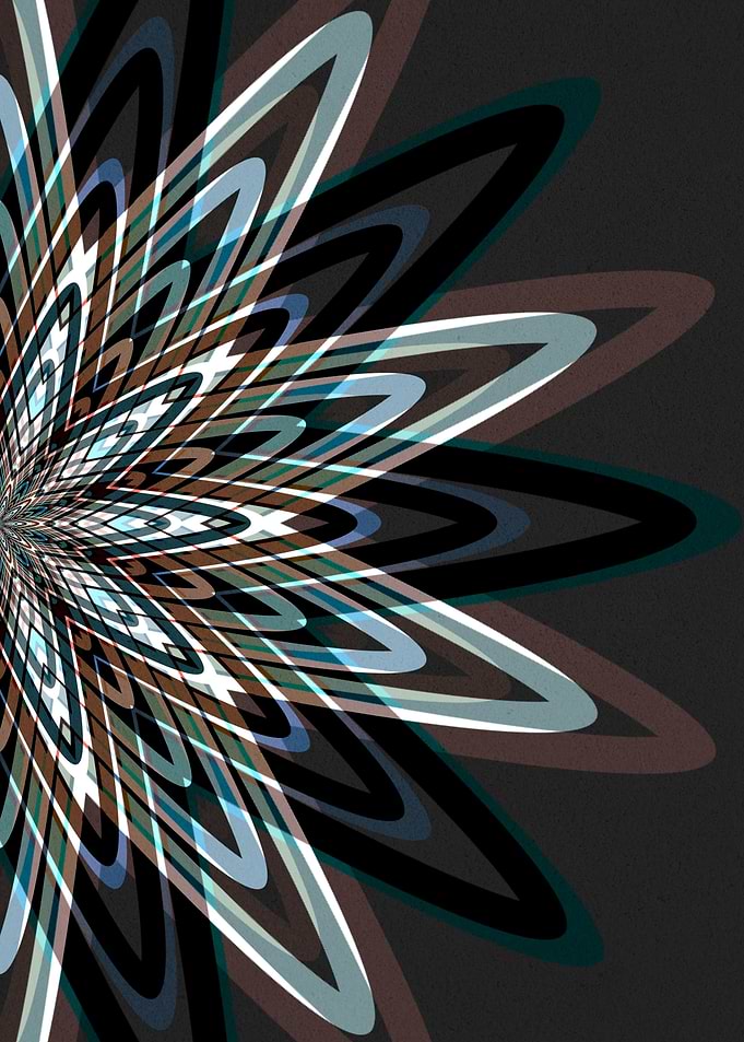 Geometric Inception