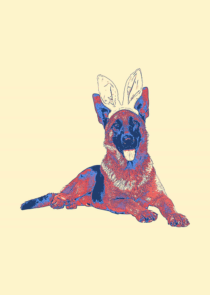 German Shepherd