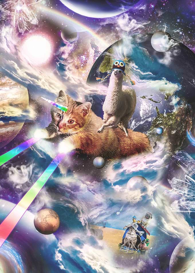 Llama On Rainbow Laser Cat