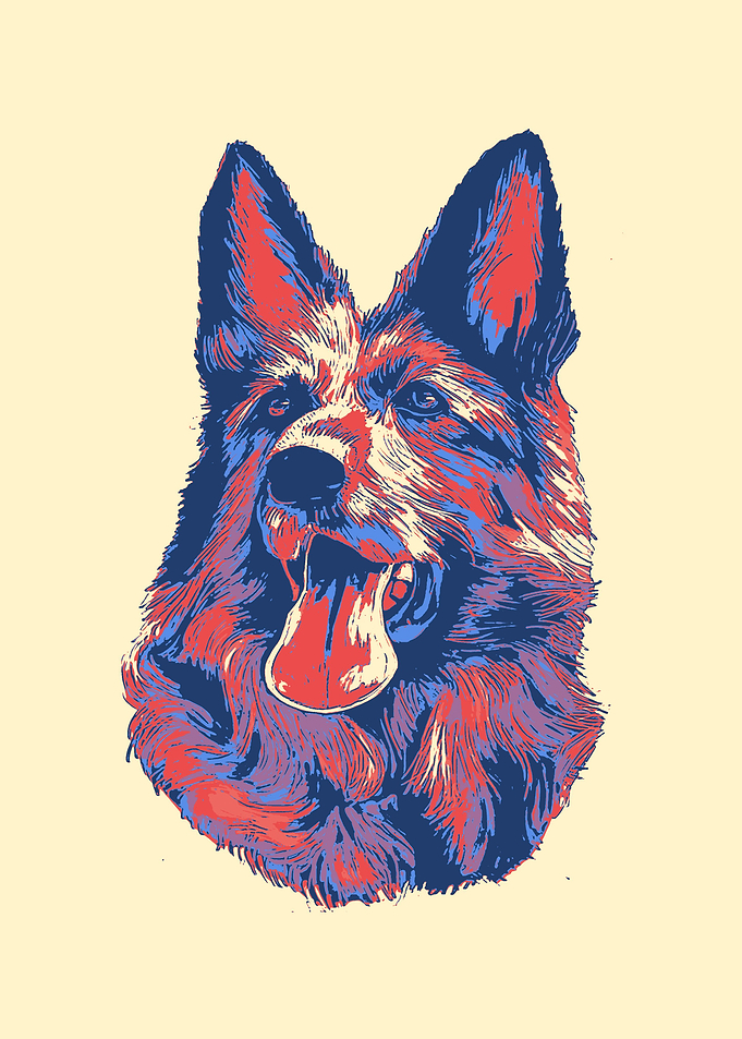German Shepherd