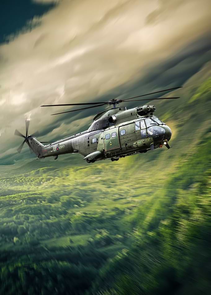 Puma Inbound