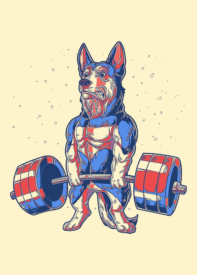 German Shepherd