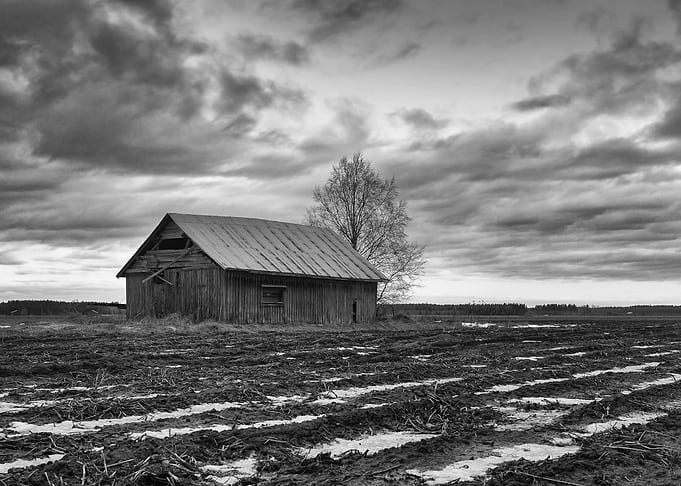 Barn House On The Fields