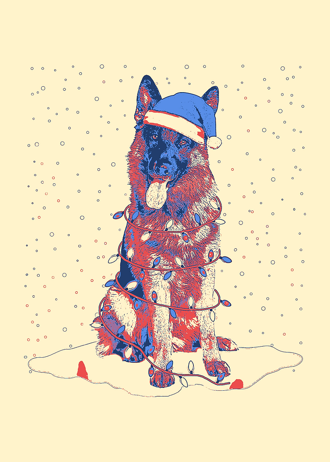 German Shepherd