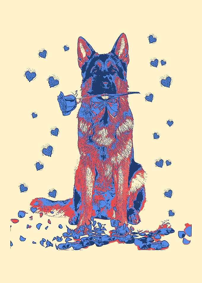 German Shepherd