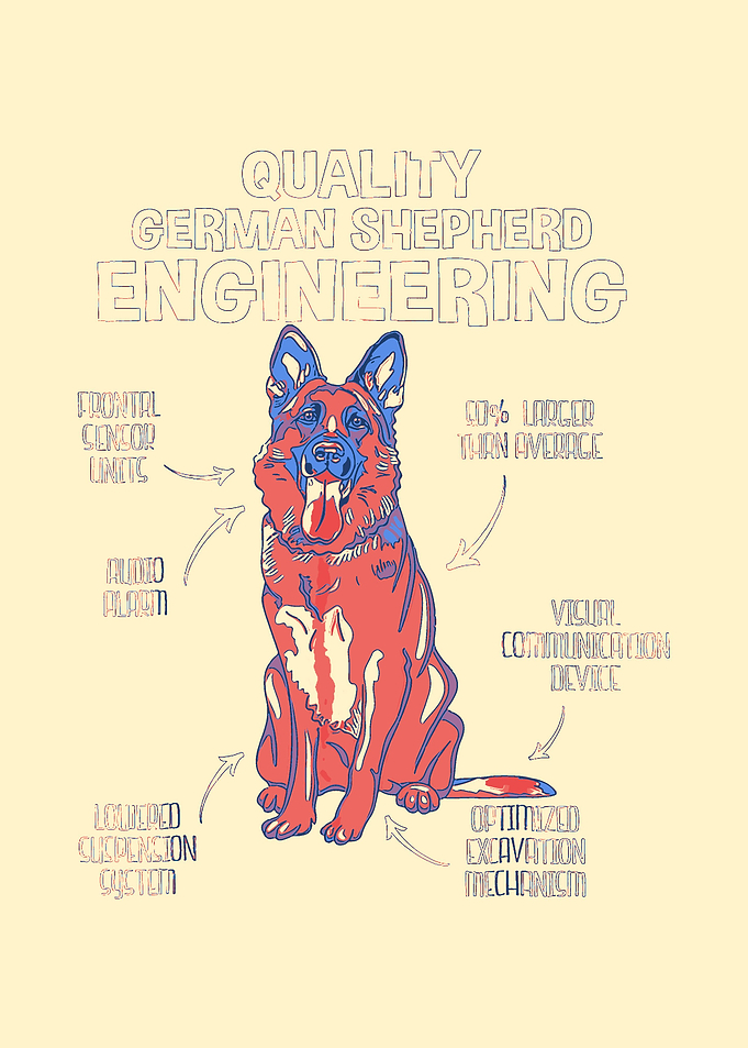 German Shepherd