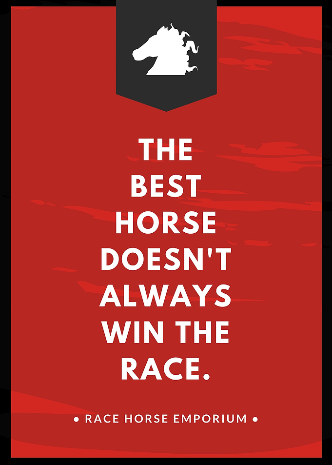 The best horse
