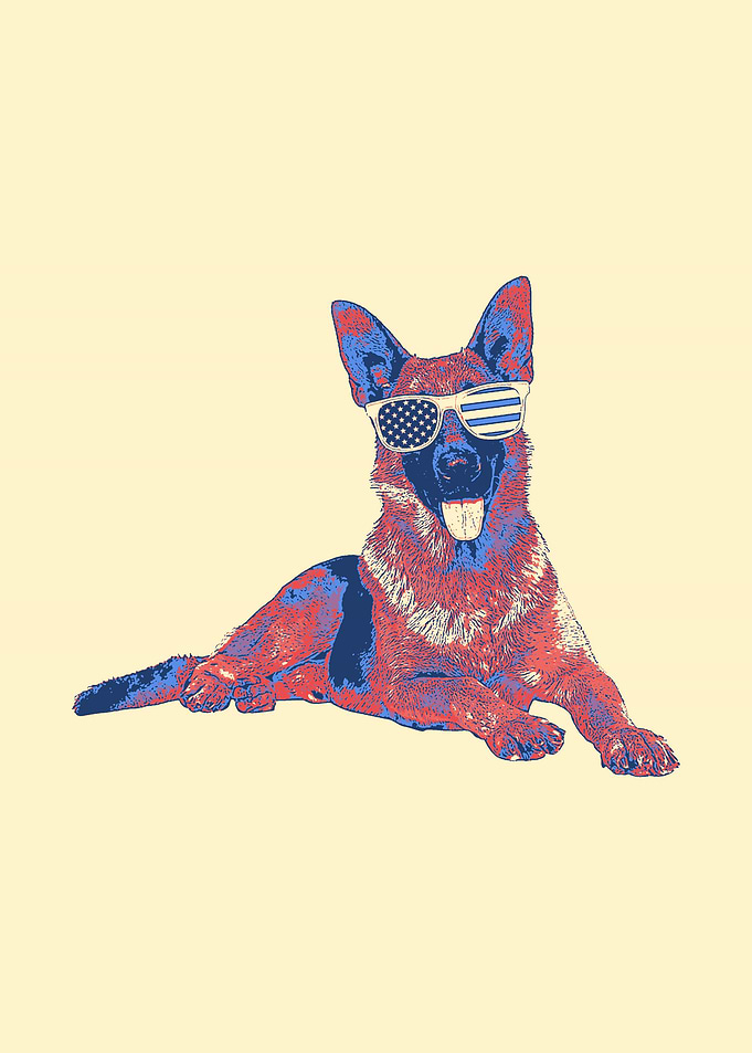 German Shepherd