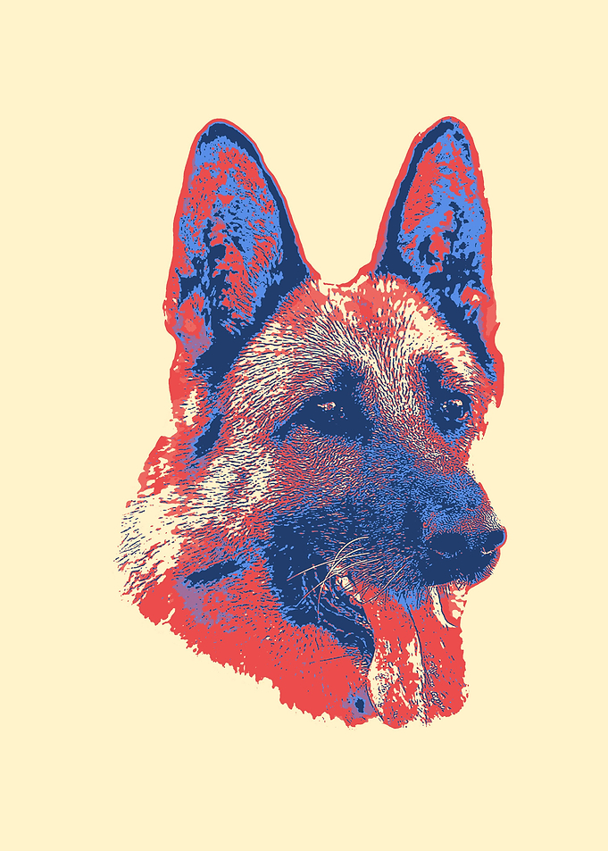 German Shepherd