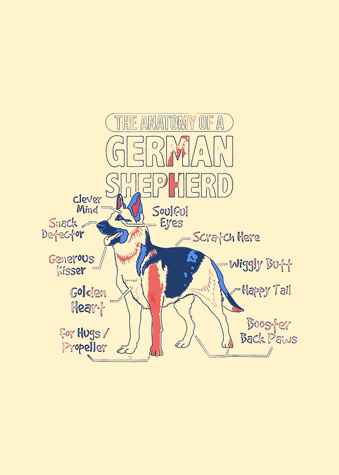 German Shepherd