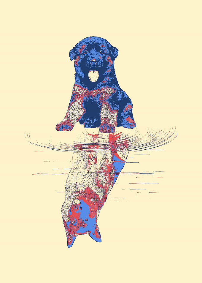 German Shepherd
