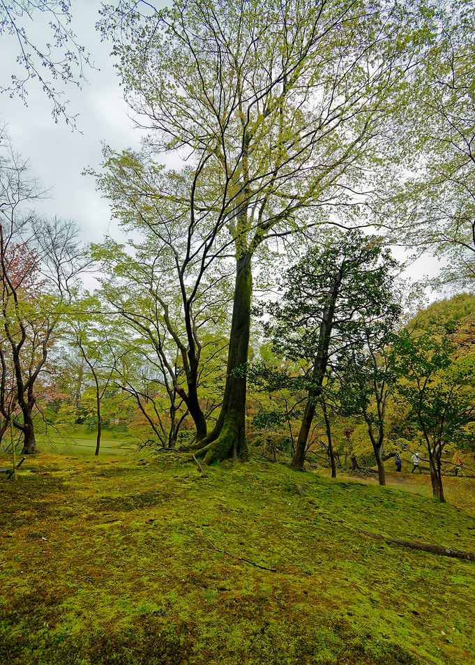 Royal gardens in Kyoto