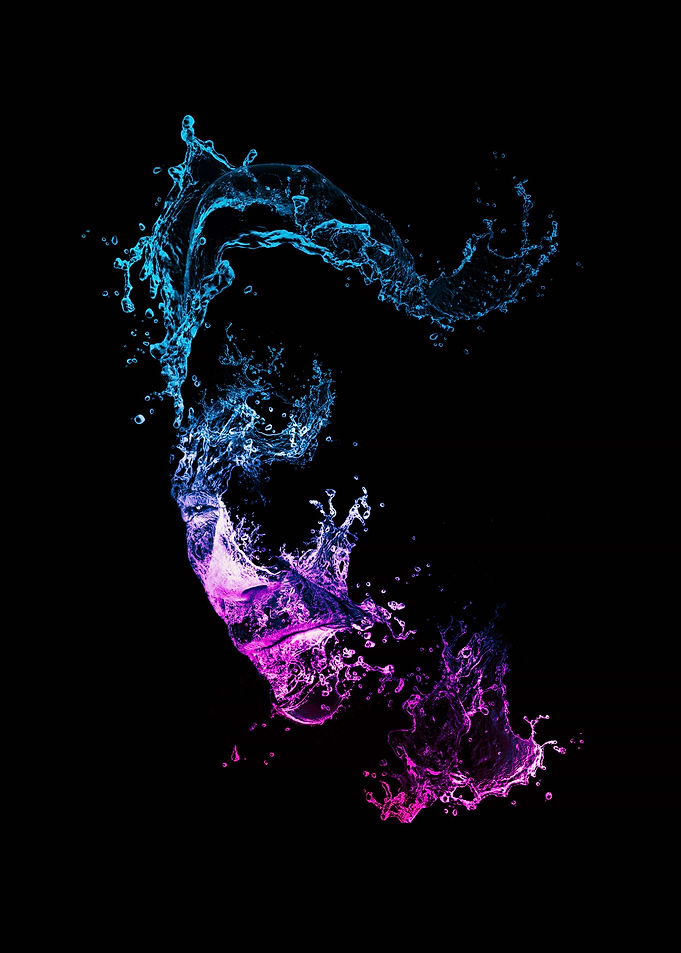 Old dolphin