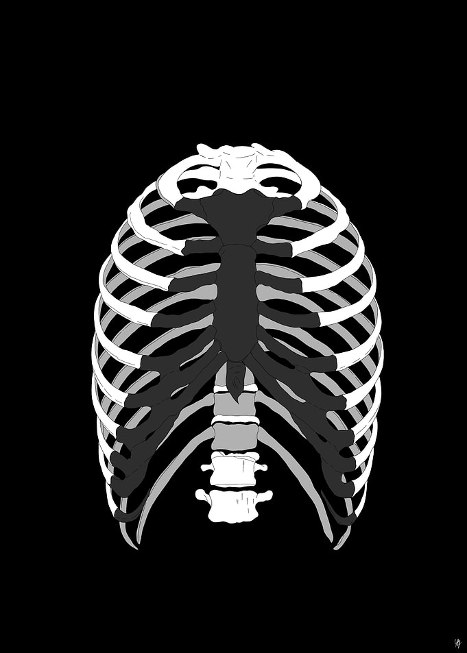 Black and white ribs