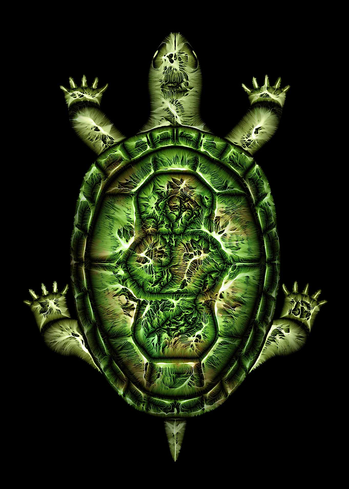 Turtle