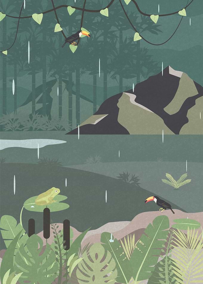 Jungle Rain