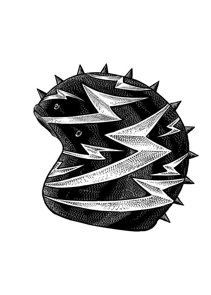 Racer helmet 1