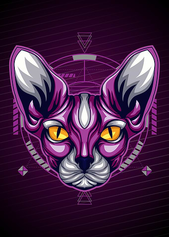 SPHYNX GEOMETRY