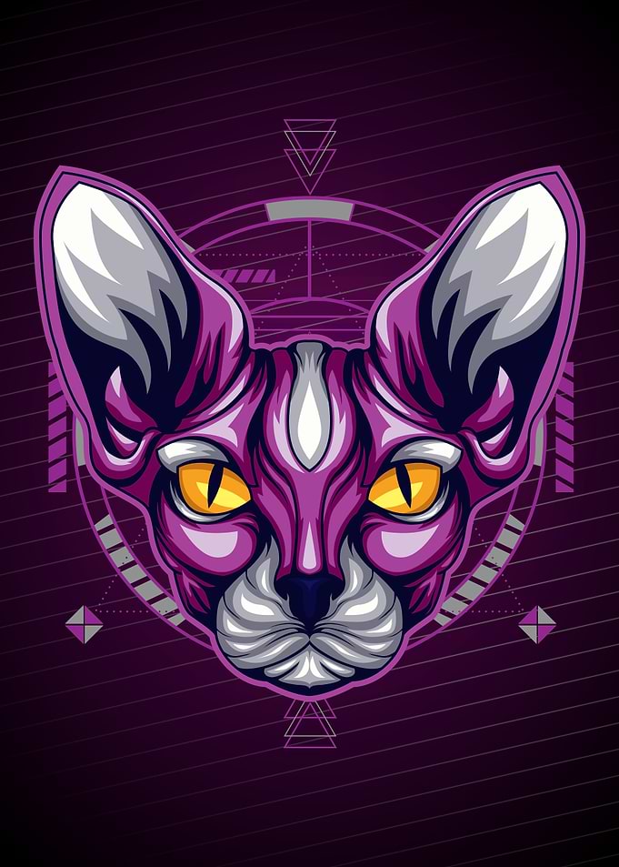 SPHYNX GEOMETRY