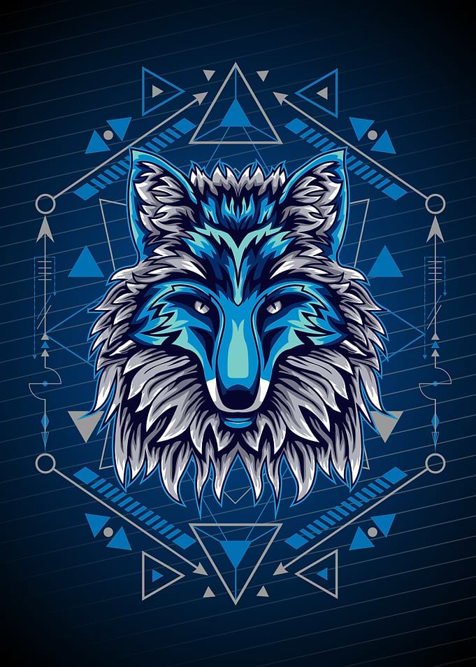 FOX COOL GEOMETRY