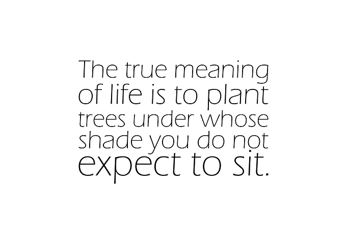 The True Meaning Of Life