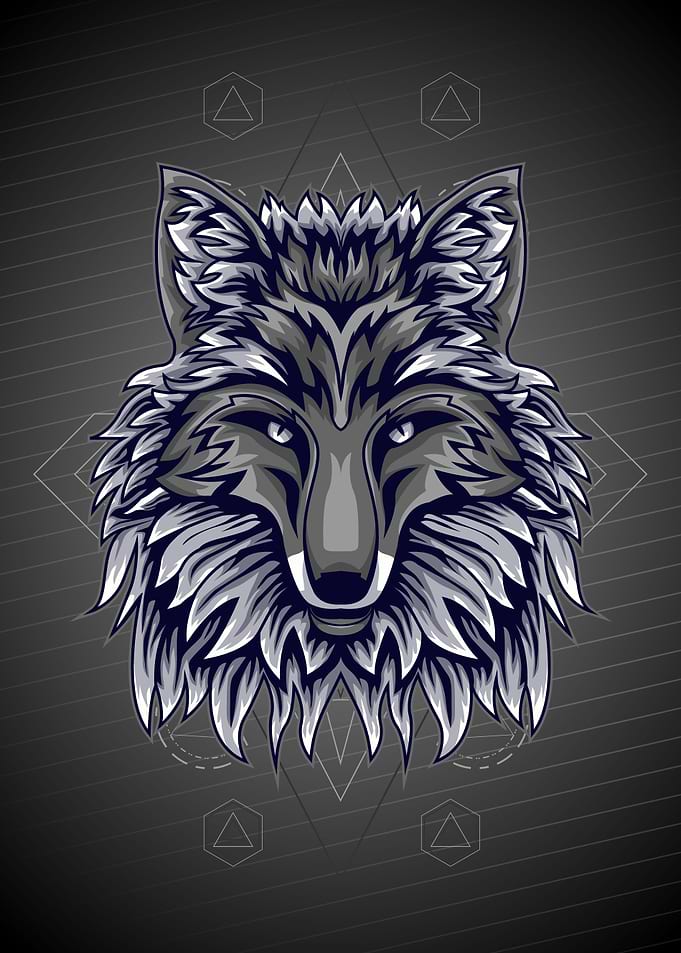FOX NATION