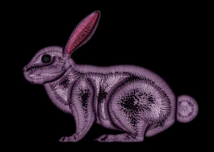 Rabbit