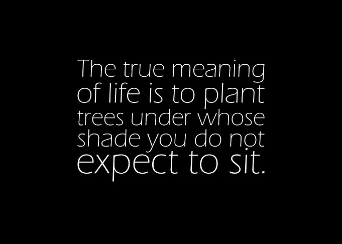 The True Meaning Of Life