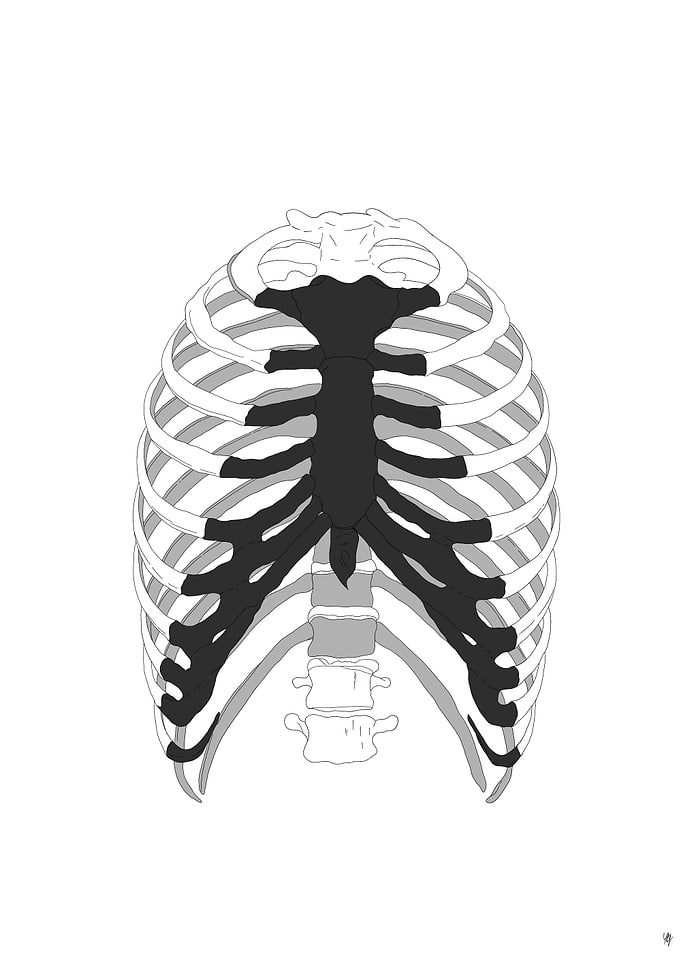 White and black ribs