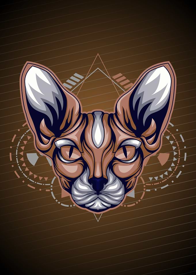 Sphynx cat retro